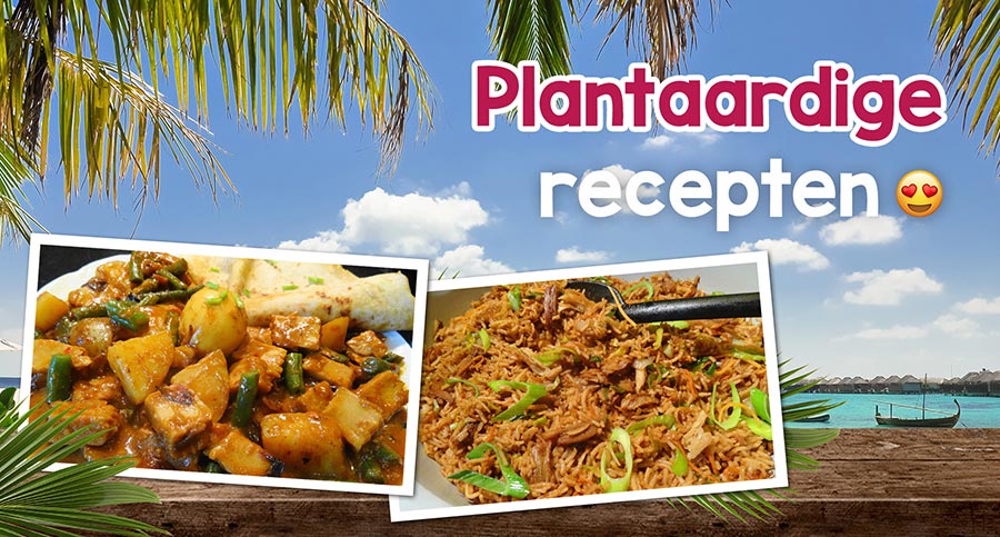 Plantaardige recepten
