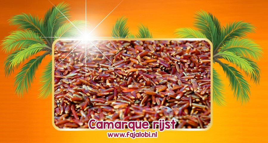 Camargue rijst