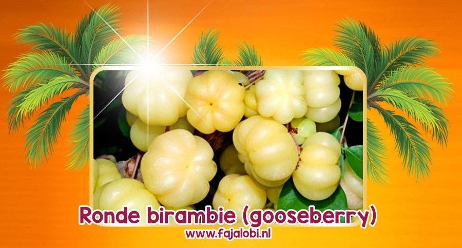 Ronde birambie (gooseberry)