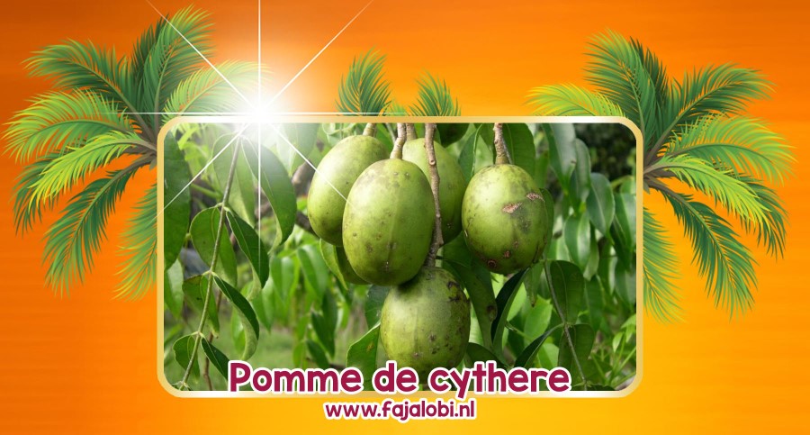 Pomme de cythere