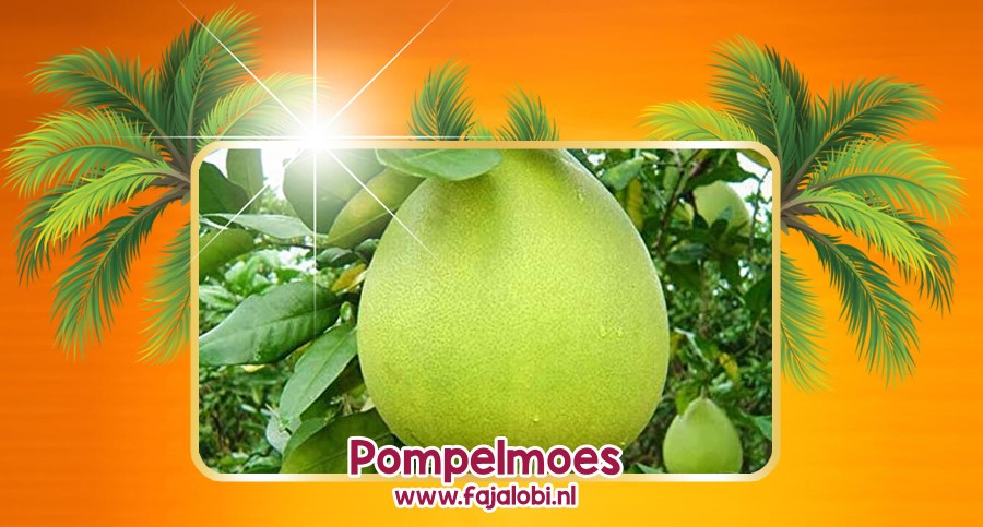 Pompelmoes